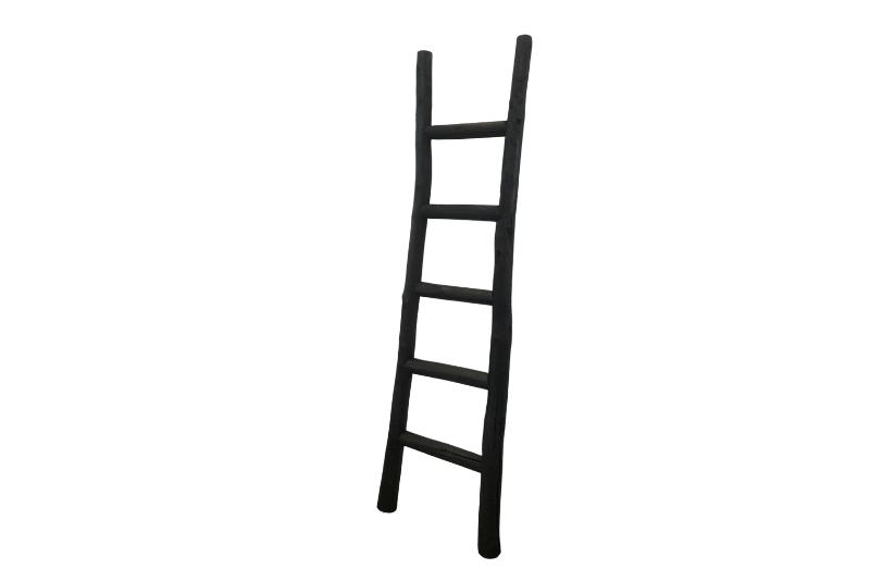 Andorra Black Reclaimed Elm Ladder