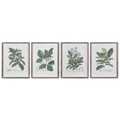 Perennial Herbs 4 Piece Wall Art