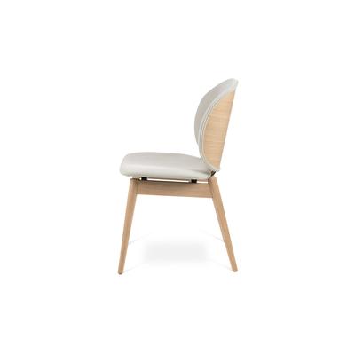 Johan Dining Chair