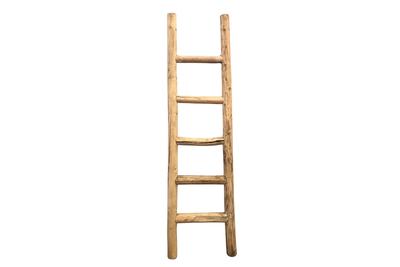 Andorra Reclaimed Elm Ladder