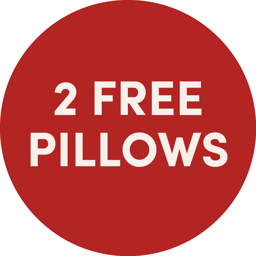 Winter Sale 2 free pillows